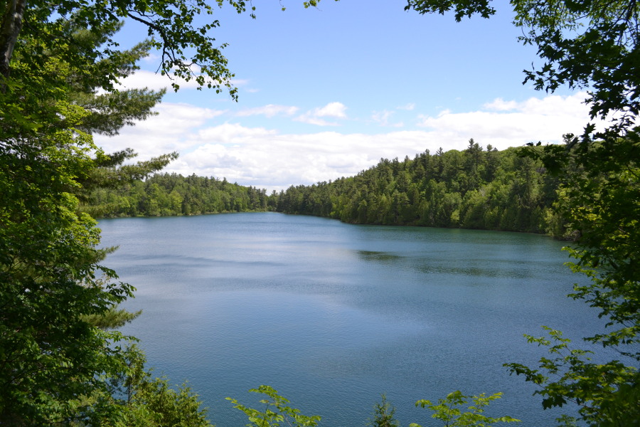 Pink Lake