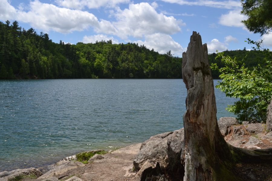 Pink Lake