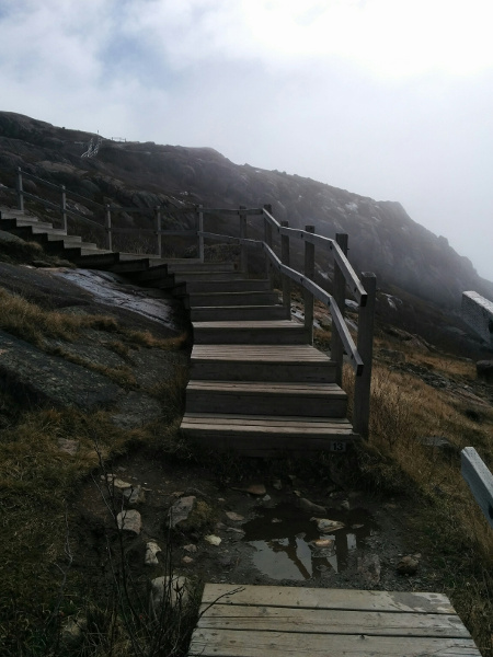 Stairs up to Signal Hill